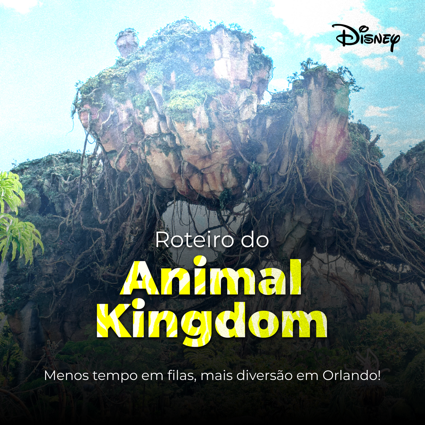 Roteiro do Animal Kingdom